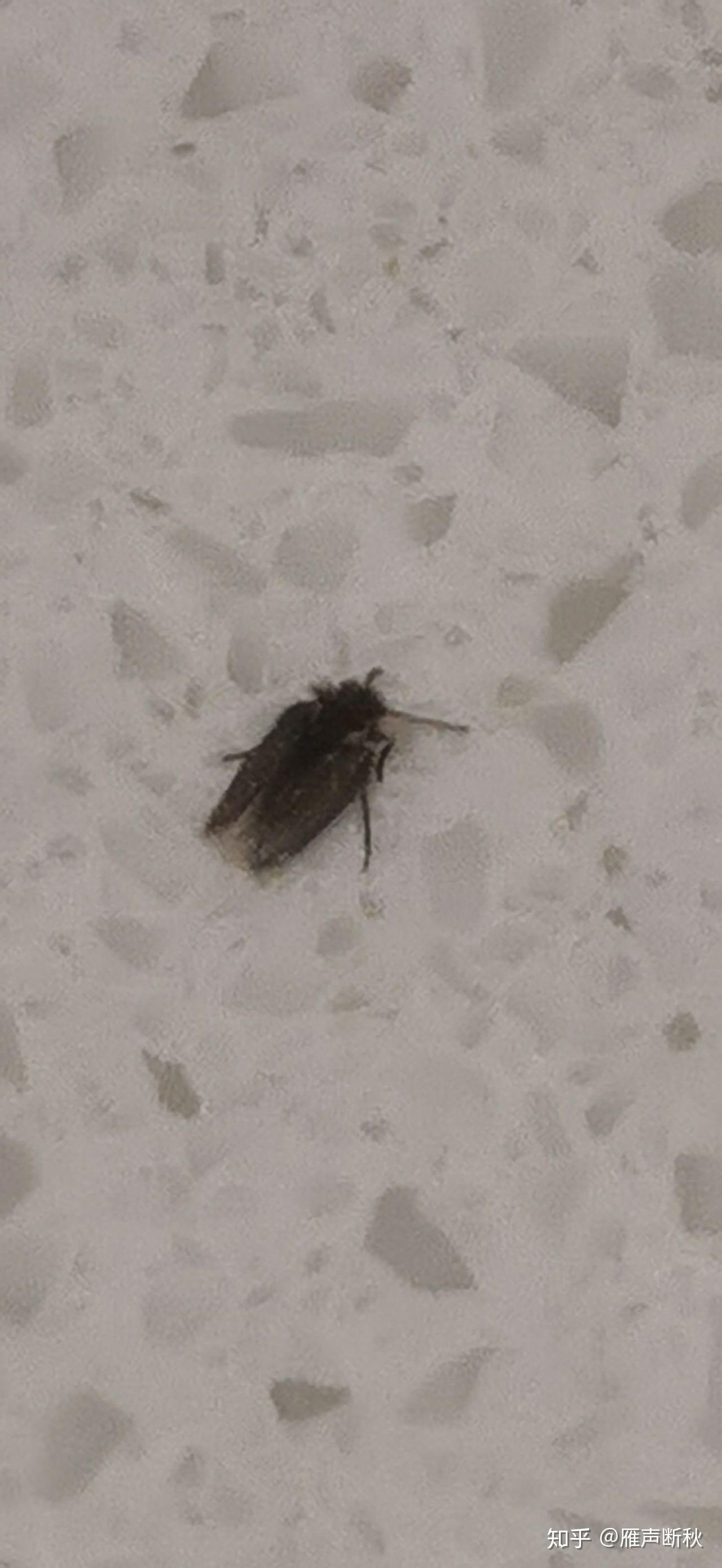 第268页
