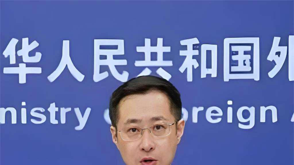 中方决定不同捷克总统进行任何交往